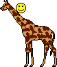 Appareil photo Giraffe1